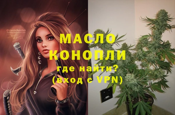 гидра Волоколамск