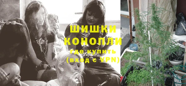гидра Волоколамск