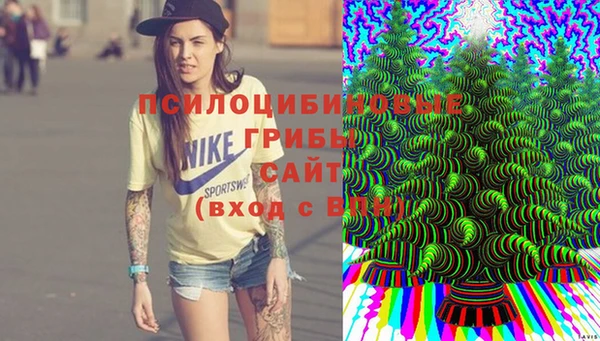 крисы Володарск