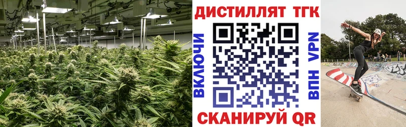 darknet Telegram  Дмитровск  Дистиллят ТГК вейп с тгк 