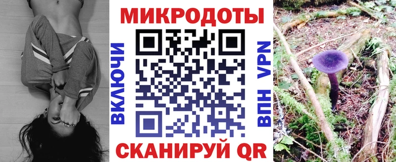 Галлюциногенные грибы Psilocybine cubensis  Дмитровск 